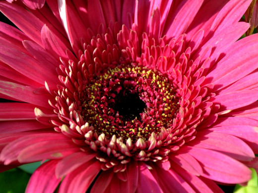 430768 (a): :1600x1200